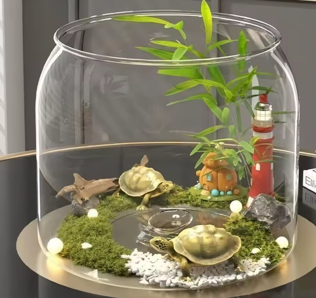 خزان أسماك دائري شفاف متعدد الوظائف – مضاد للكسر لمكتبك أو للديكور