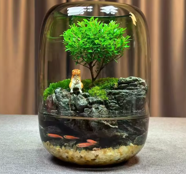 مزهرية زجاجية بيئية للنباتات المائية – ديكور مصغر وخزان أسماك صغير للمكتب أو غرفة المعيشة