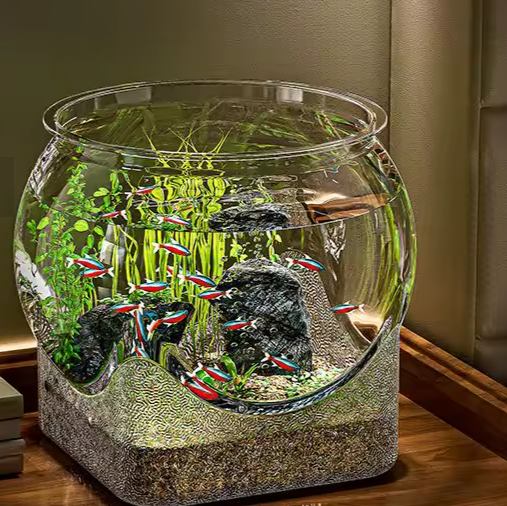 وعاء سمك بيتا بلاستيكي شفاف – حوض صغير للأسماك الزينة والزواحف