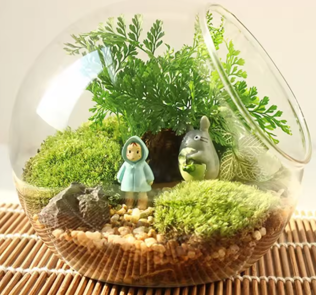 كرة زجاجية معلقة للإبداع – حاوية نباتات الهواء والعصاريات للديكور الصغير